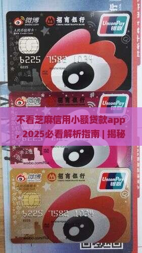 不看芝麻信用小额贷款app