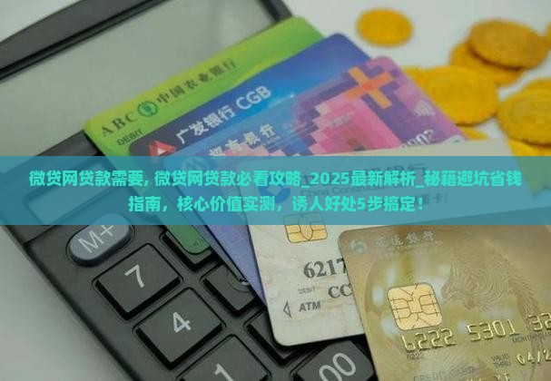 微贷网贷款需要