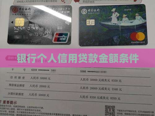 信用贷款金额条件