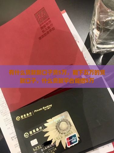有什么贷款新口子贷5万
