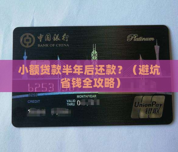 小额贷款半年后还款