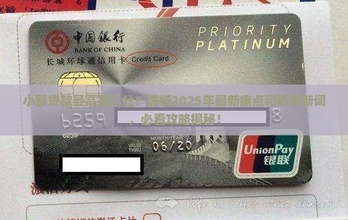 小额贷款最高是几分