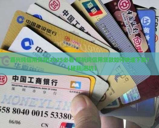 嘉兴纯信用贷款