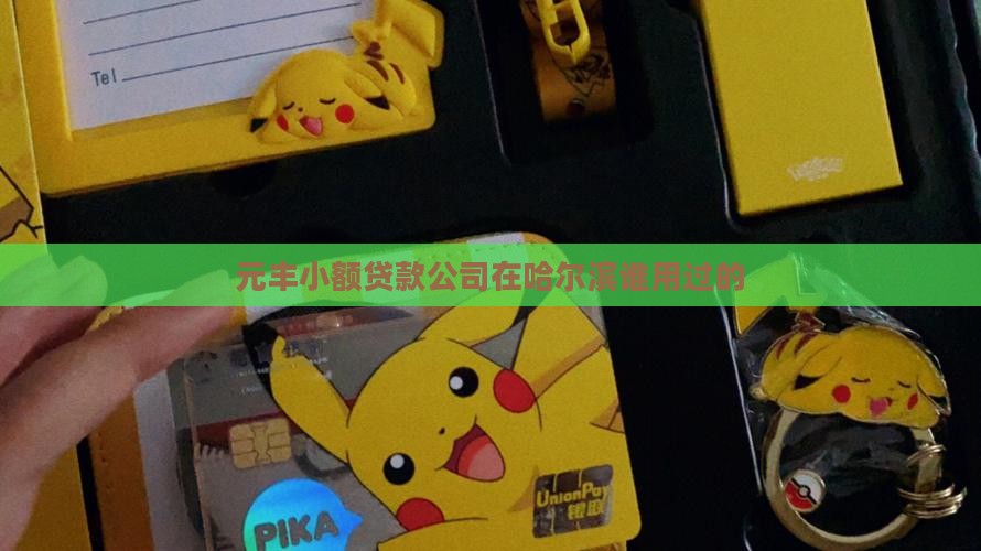 元丰小额贷款谁用过的