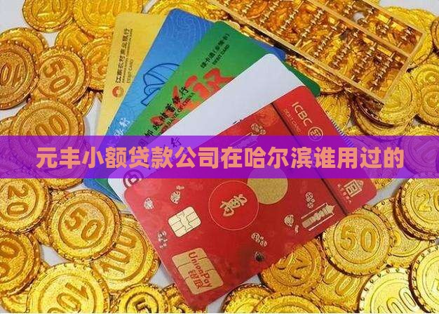 元丰小额贷款谁用过的