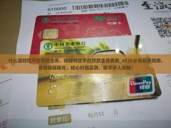 什么是特定平台贷款业务