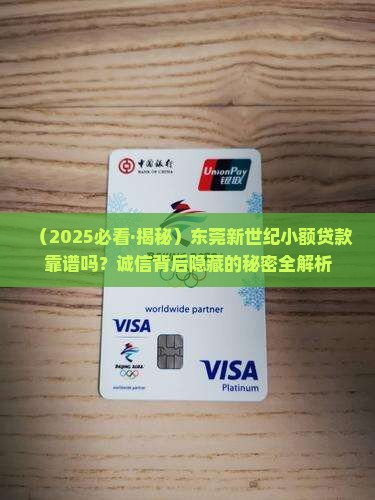 东莞新世纪诚信小额贷款