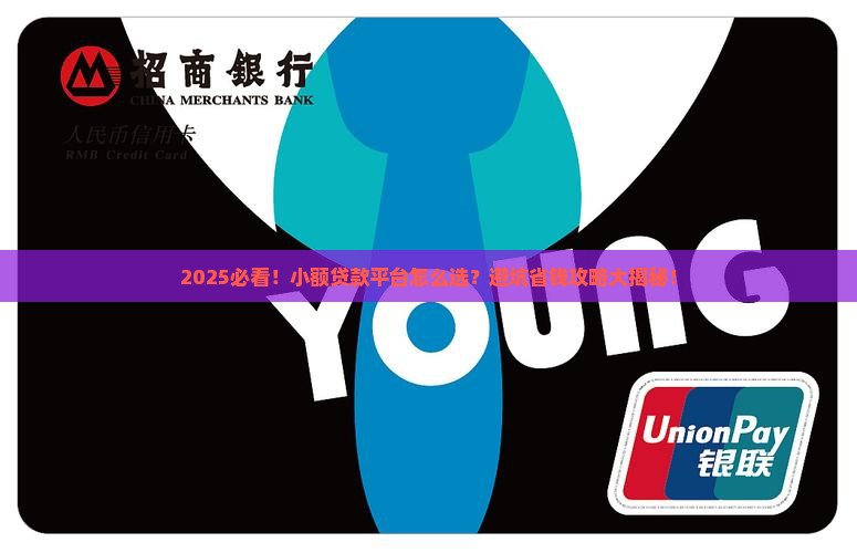 如何选择小额贷款平台