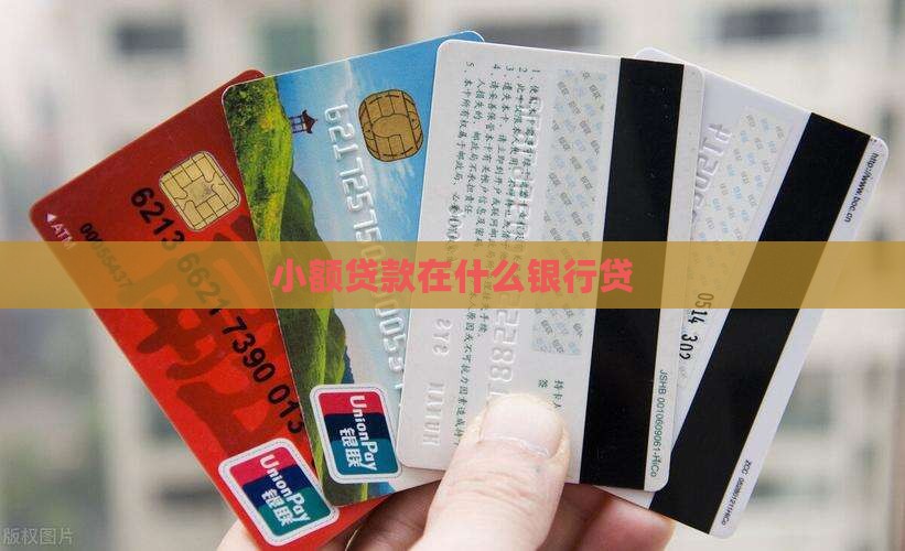 小额贷款在什么银行贷