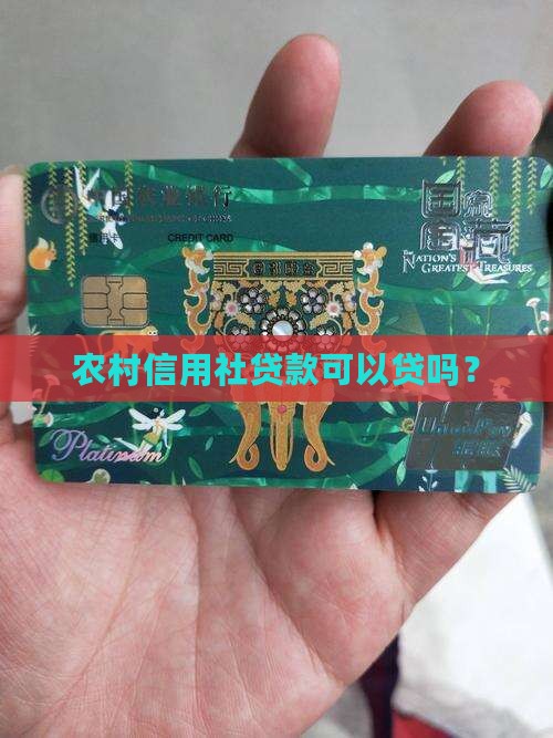 信用社有贷款可以贷吗