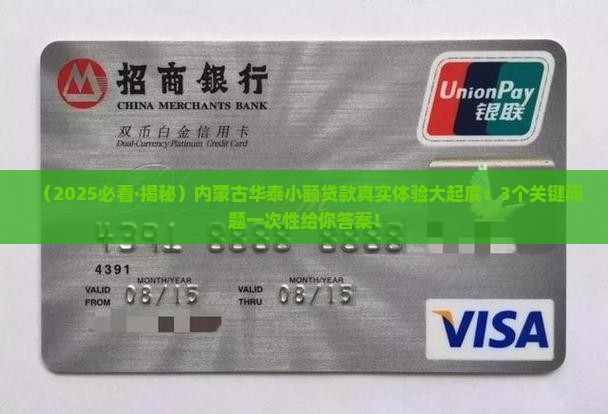 内蒙古华泰小额贷款
