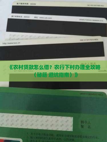农业银行下村办贷款