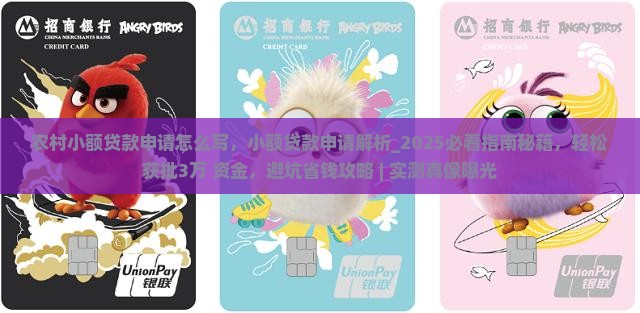 农村小额贷款申请怎么写