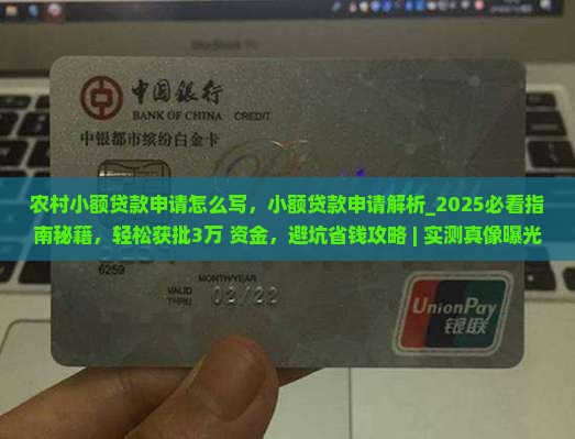 农村小额贷款申请怎么写