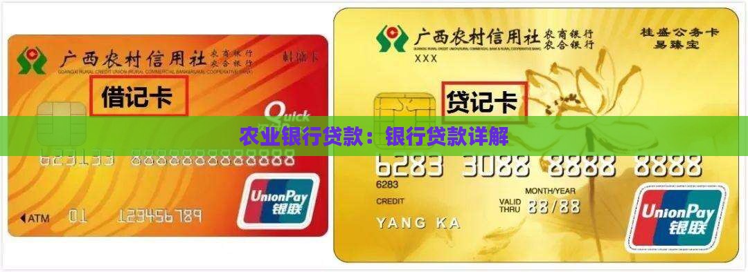 农业银银行贷款