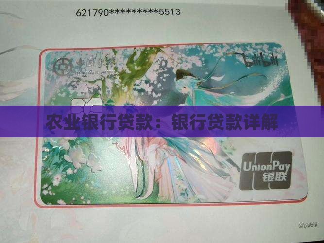 农业银银行贷款