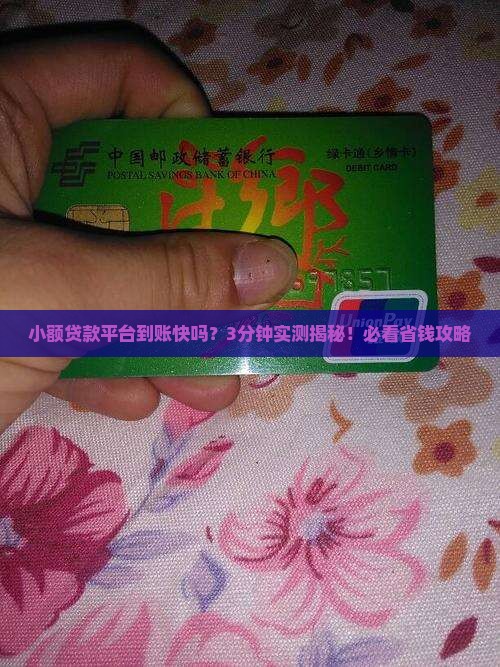 小额贷款平台多久到账