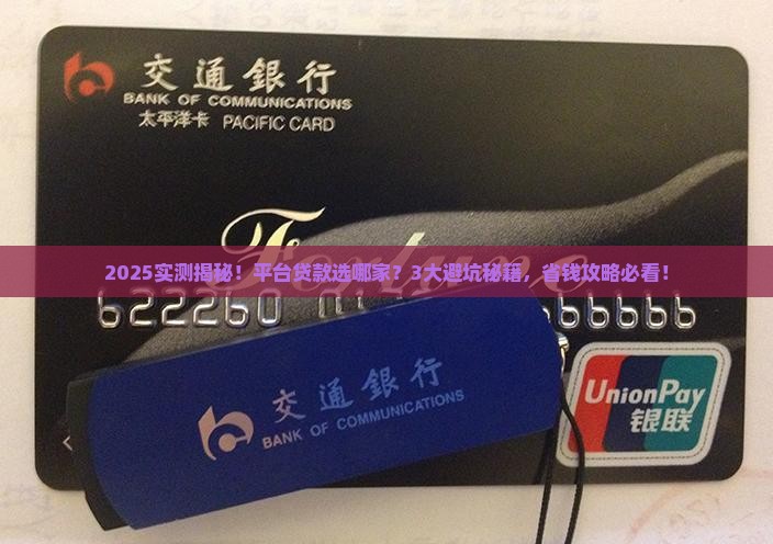 平台贷款多少家
