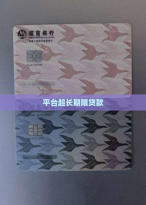 平台超长期限贷款