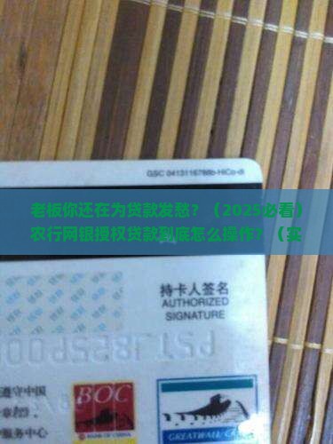 公司农行网银授权贷款