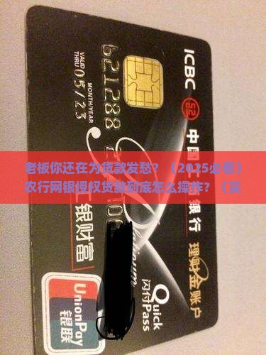 公司农行网银授权贷款