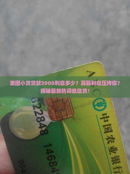 美团小贷贷款3000利息多少