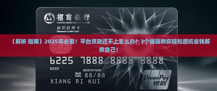 平台贷款无法还款怎么办