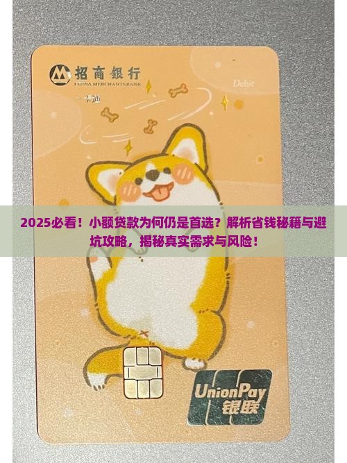 为什么还要小额贷款