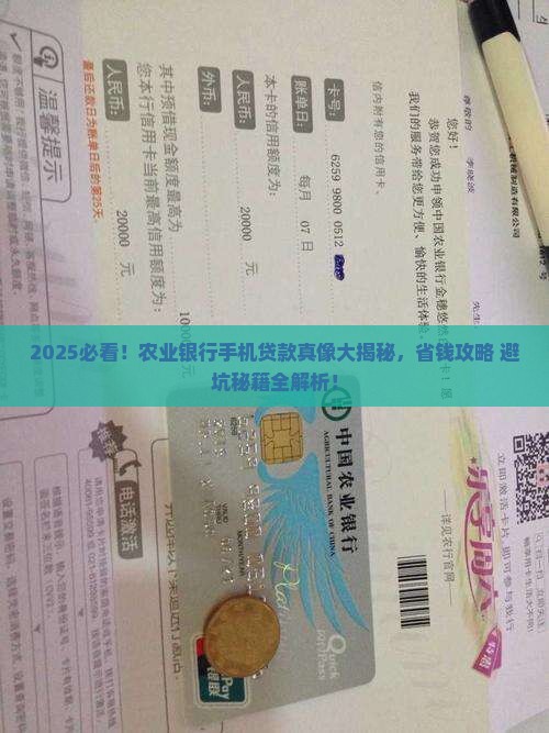 农业银行怎么手机贷款吗