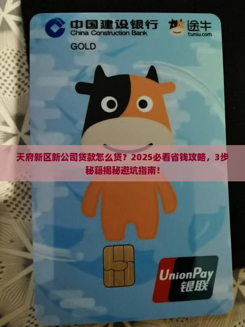 天府新区新公司贷款