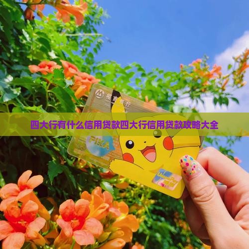 四大行有什么信用贷款