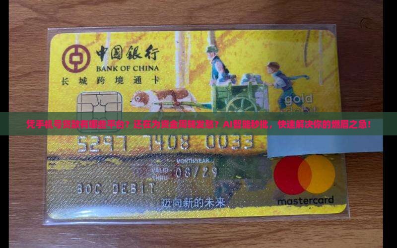 凭手机号贷款有哪些平台