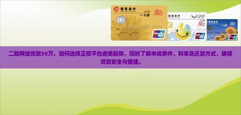 二胎网络贷款30万
