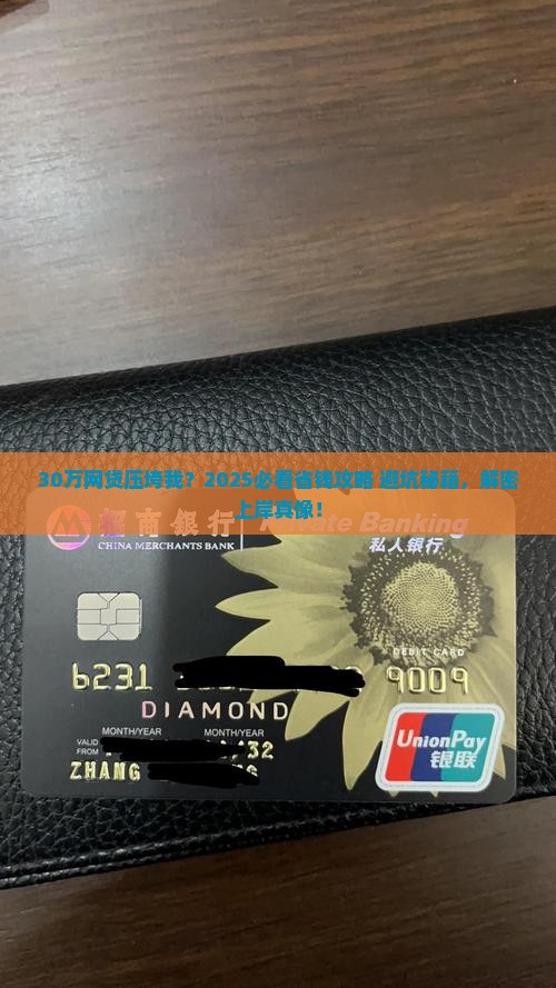 欠网络贷款30万
