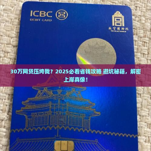 欠网络贷款30万