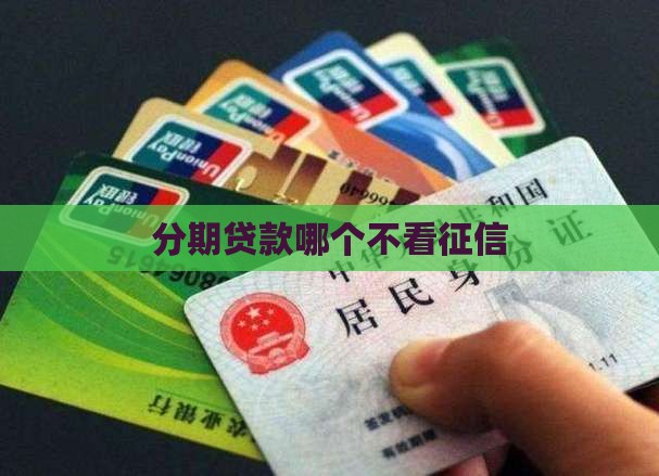 分期贷款哪个不看征信