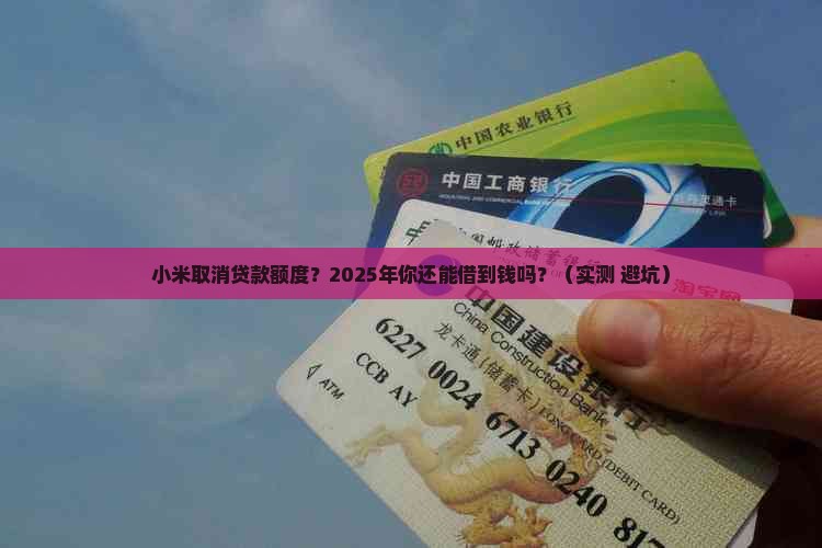小米取消贷款额度