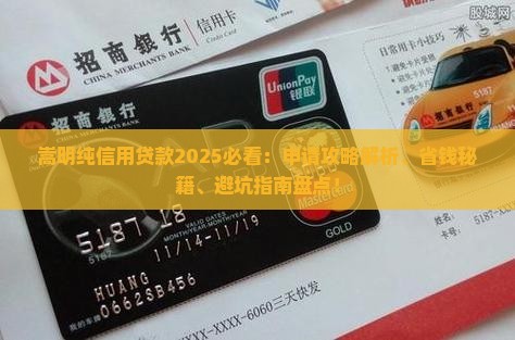 嵩明纯信用贷款