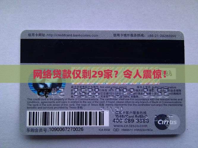 网络贷款仅剩29家