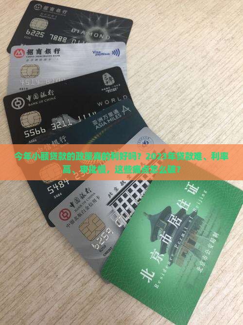 今年小额贷款的政策