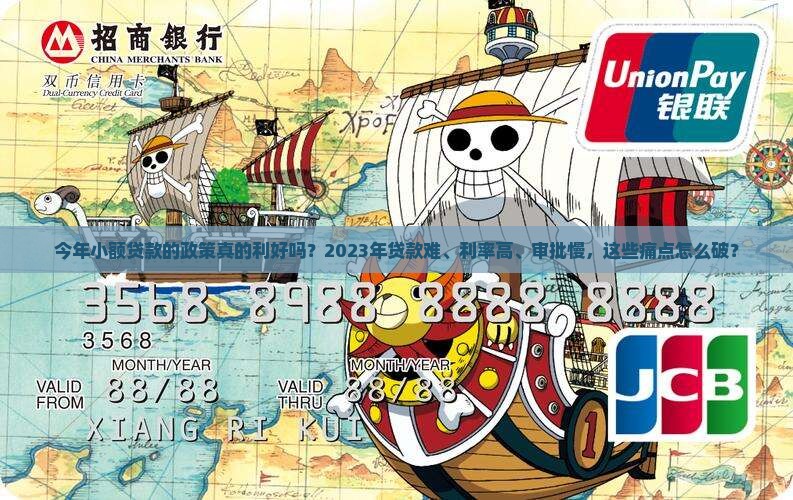 今年小额贷款的政策