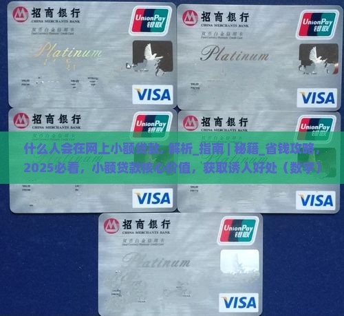 什么人会在网上小额贷款