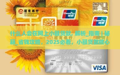 什么人会在网上小额贷款