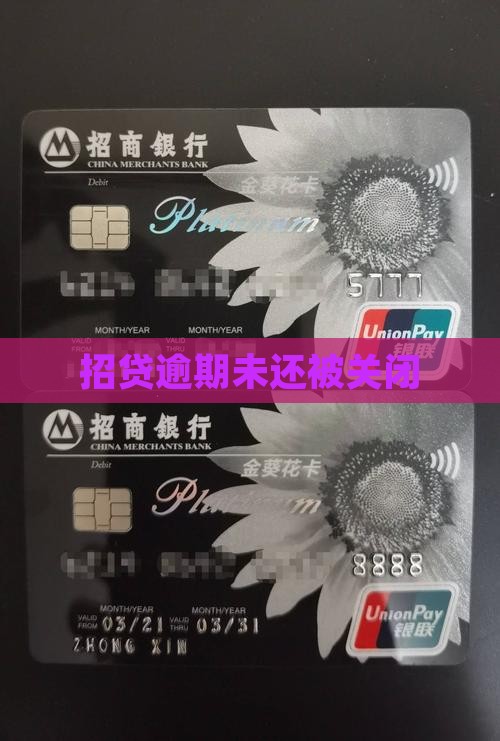 e招贷贷款没还清被关闭