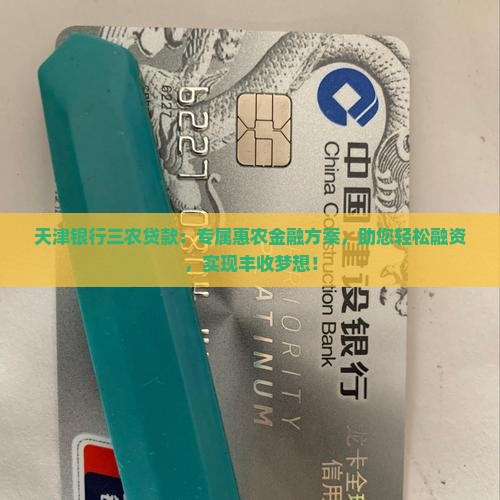 天津银行三农贷款