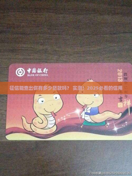 征信能查有多少贷款么