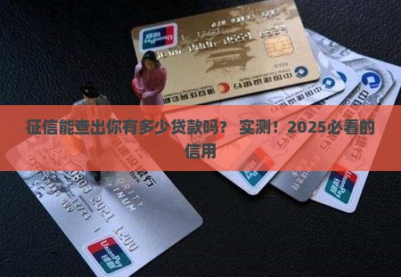 征信能查有多少贷款么