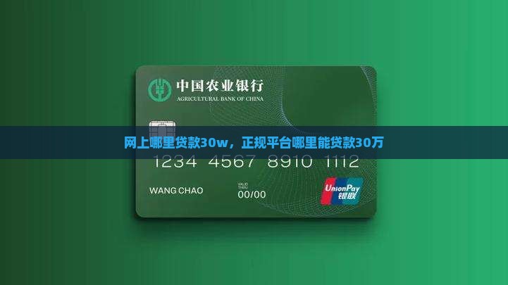 网上哪里贷款30w 网上哪里贷款30w