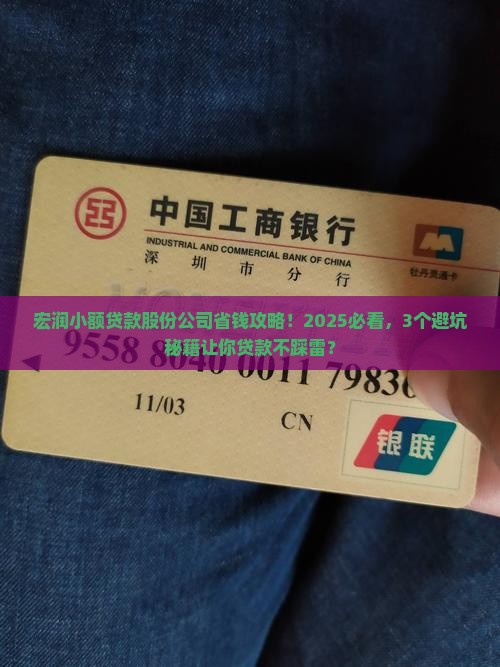 宏润小额贷款股份公司