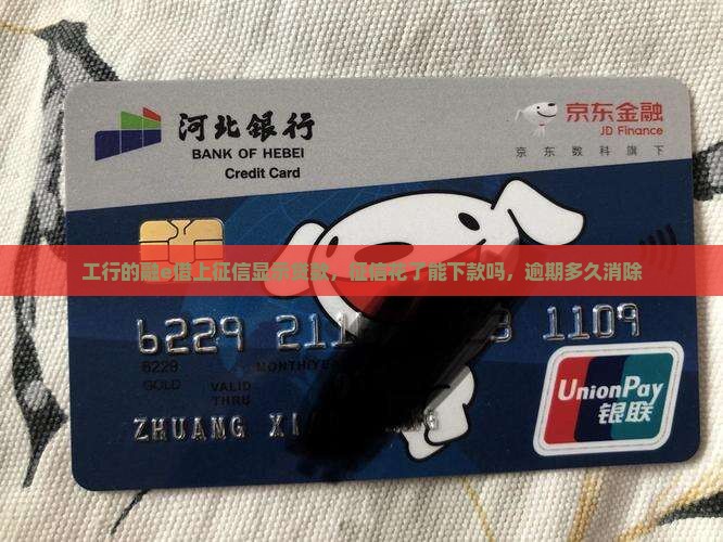 工行的融e借上征信显示贷款
